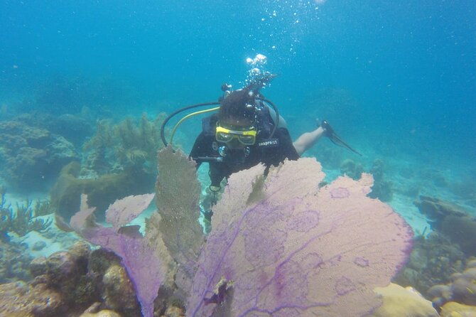 full-day-island-catalina-tours-punta-cana