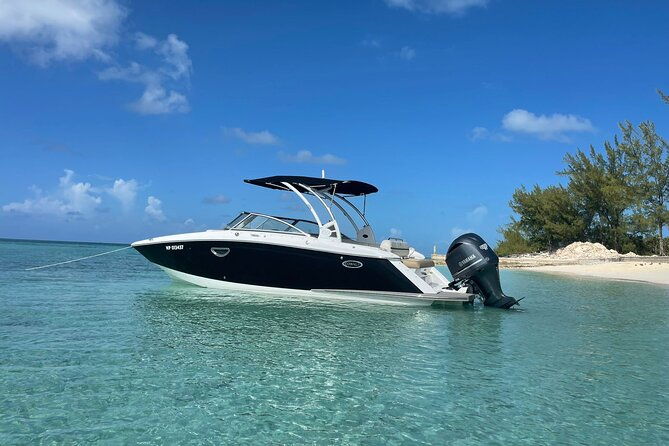 full-day-luxury-private-rose-island-pigs-and-turtles-excursion