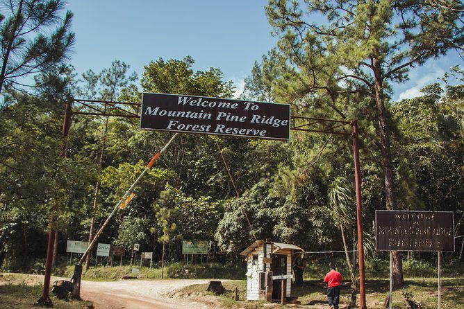 full-day-mountain-pine-ridge-tour-from-san-ignacio-with-lunch