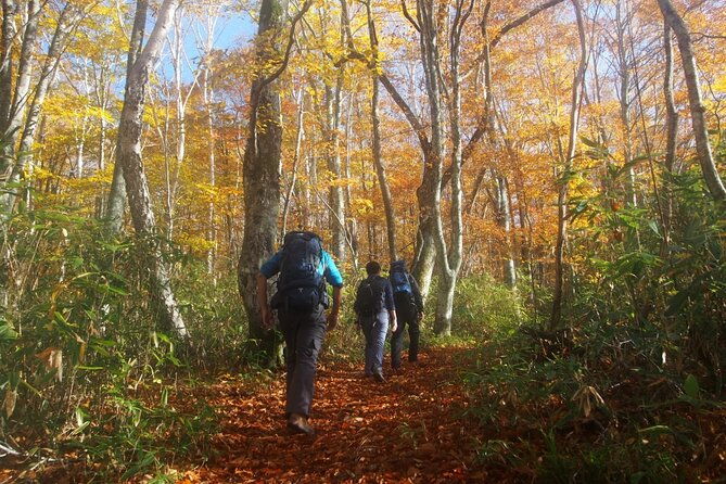 full-day-north-nagano-hiking-experience