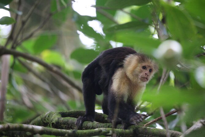 full-day-tour-in-corcovado-national-park
