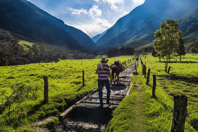 full-day-tour-of-cocora-valley-salento-and-coffee-farm-tour-from-pereira