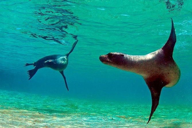 full-day-tour-pinzon-island-la-fe-las-palmas-snorkeling-fishing