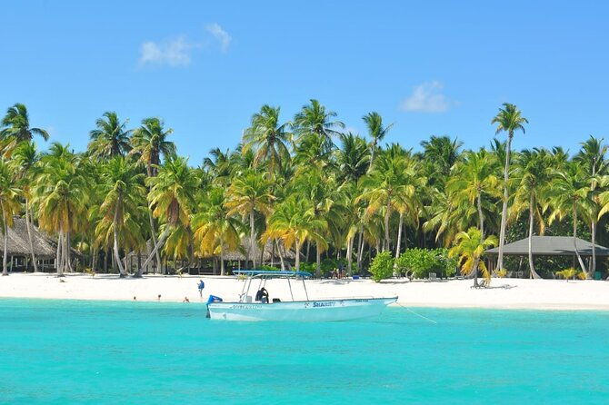full-day-tour-to-saona-island-by-catamaran-and-speedboat