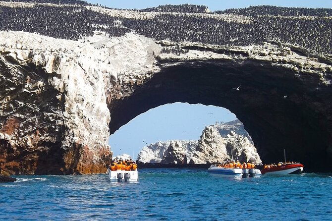 full-day-tour-to-visit-ballestas-islands-and-paracas-reserve