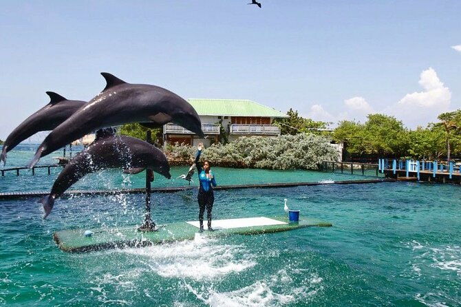 full-day-tranquil-beach-premium-terrestrial-plus-rosario-islands