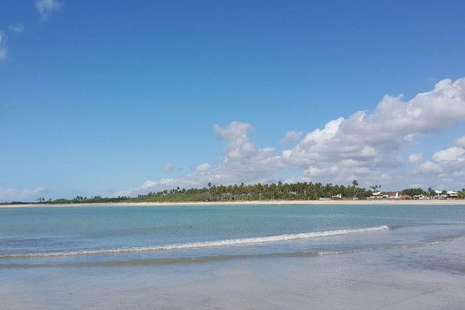 full-day-visit-to-paripueira-beach-and-tide-pools-in-maceio