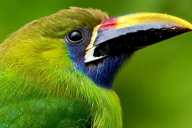 fullday-birdwatching-experience-small-groups