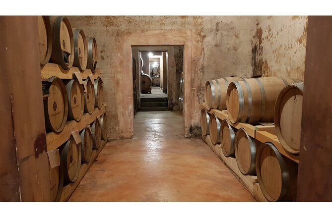 gallipoli-full-day-private-tour-coast-beaches-and-wineries