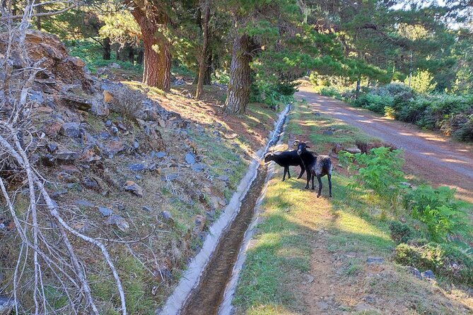gastro-hike-private-tour-2