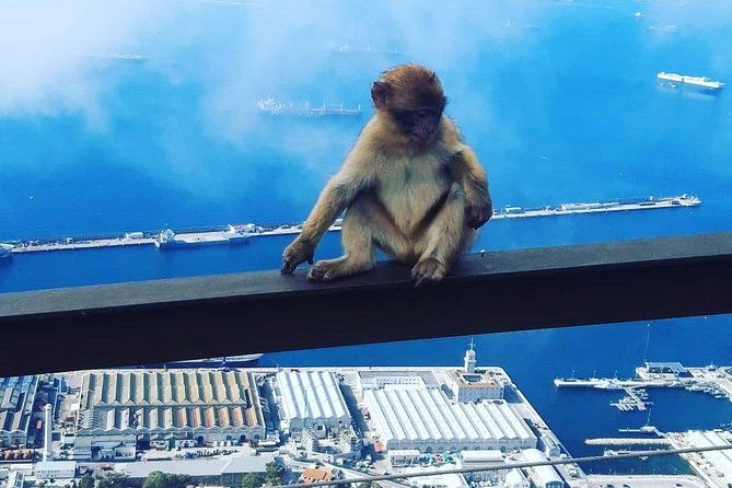 gibraltar-sightseeing-extended-rock-tour-shore-excursion-private-2