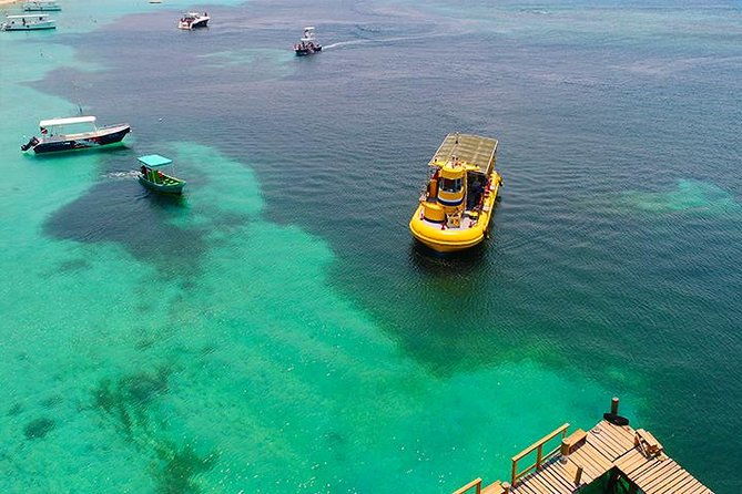 glass-bottom-boat-sloth-monkey-park-chocolate-factory-west-bay-beach