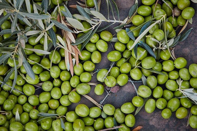 gourmet-cooking-class-culture-in-the-rural-montes-de-malaga