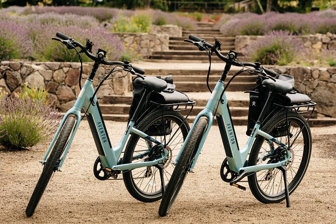 guided-electric-bike-wine-tour-through-sonoma-county