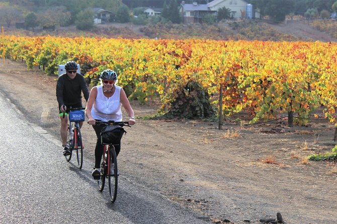 guided-healdsburg-wine-country-bike-and-wine-tasting-tour-with-lunch