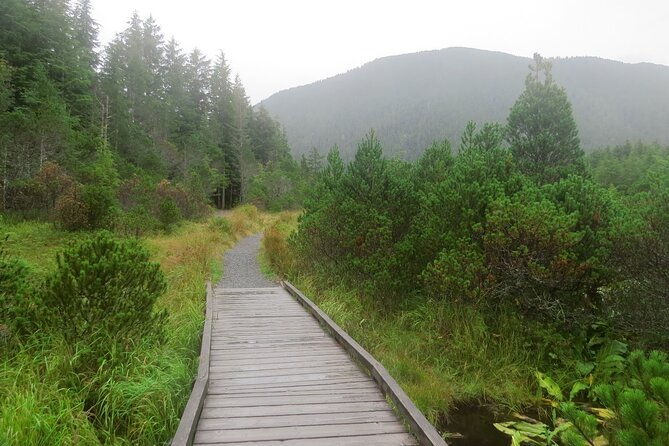 guided-hike-tongass-national-forest