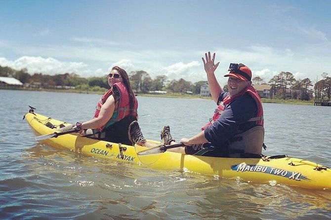 guided-kayak-tour-to-see-ponies-birds-dolphins-and-more