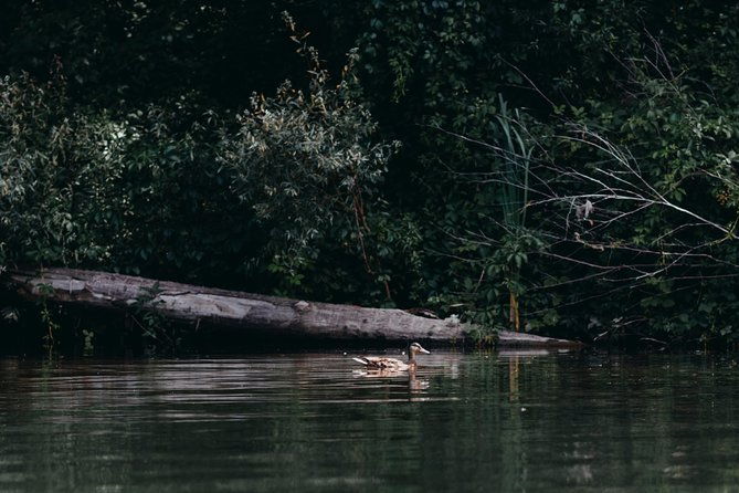 guided-kayaking-on-the-nalon-river-oviedo