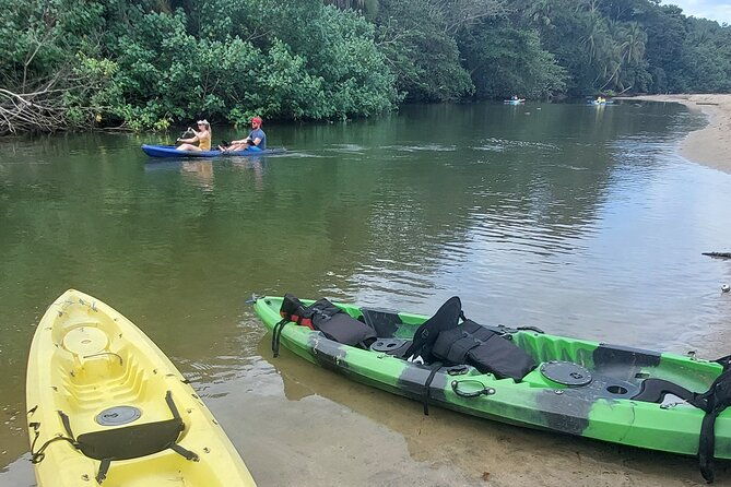 guided-kayaking-tour-to-punta-uva-river-with-nature-and-swimming