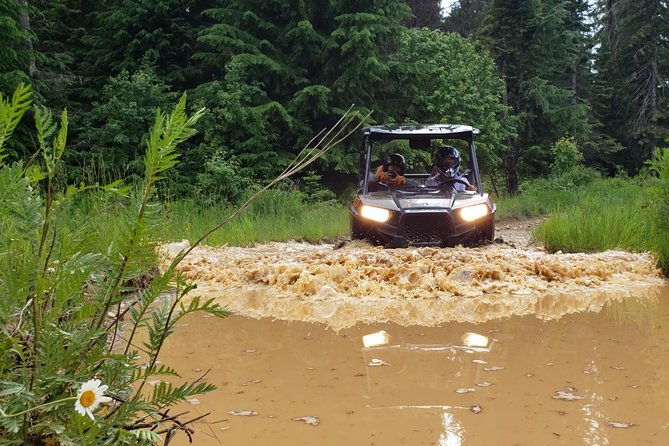 guided-off-road-vehicle-tours-in-north-idaho-forests-2