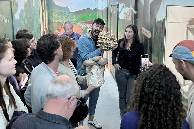 guided-tour-and-tasting-in-mushroom-cultivation