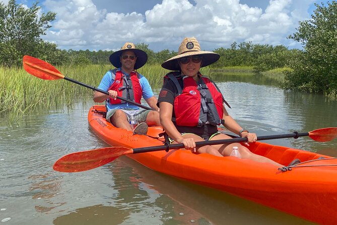 guided-tour-for-dolphin-sea-turtle-observation-in-saint-augustine-florida