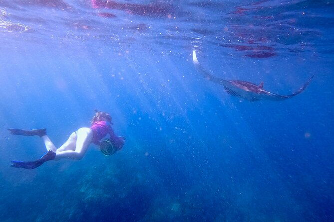 guided-turtle-town-snorkel-tour-with-sea-scooter-makena