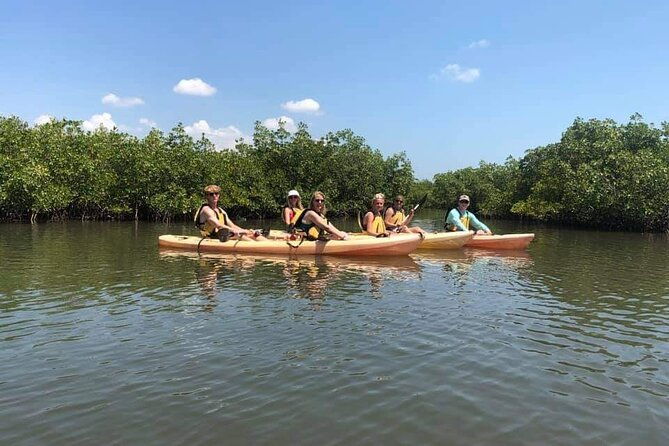 guided-wildlife-eco-kayak-tour-in-new-smyrna-beach