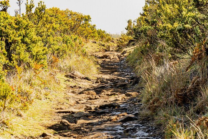 haleakala-crater-hiking-experience