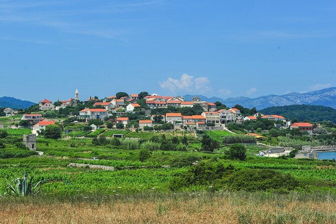 half-day-bike-tour-in-lumbarda-with-wine-tasting-2