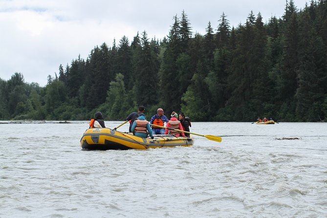 half-day-chilkat-bald-eagle-preserve-float-tour