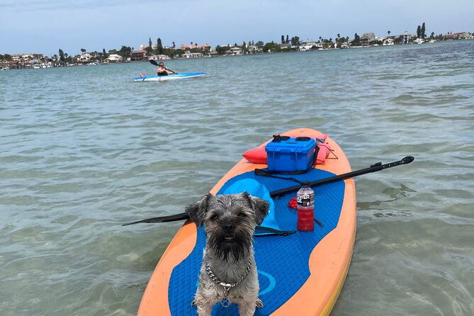 half-day-excursion-to-johns-pass-sandbar-mangrove-tunnel-2