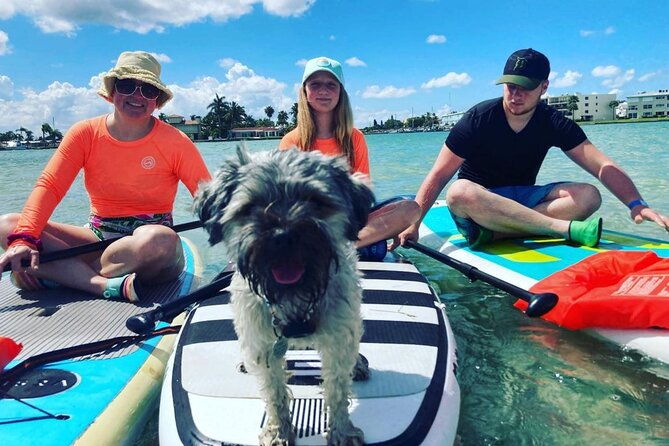 half-day-excursion-to-johns-pass-sandbar-mangrove-tunnel