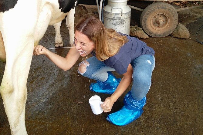 half-day-farm-visit-and-cow-milking-experience