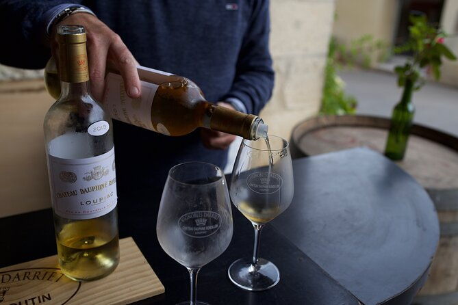 half-day-guided-wine-tasting-tour-in-bordeaux-vineyards-4