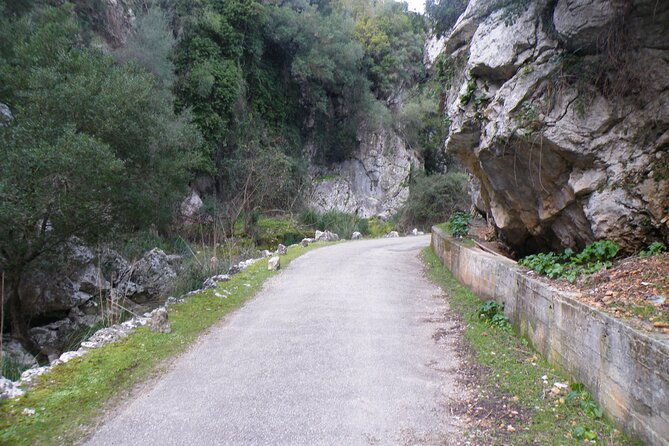 half-day-mountain-bike-experience-to-serra-de-tramuntana