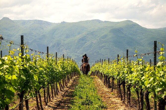 half-day-of-horseback-adventure-with-wine-tasting