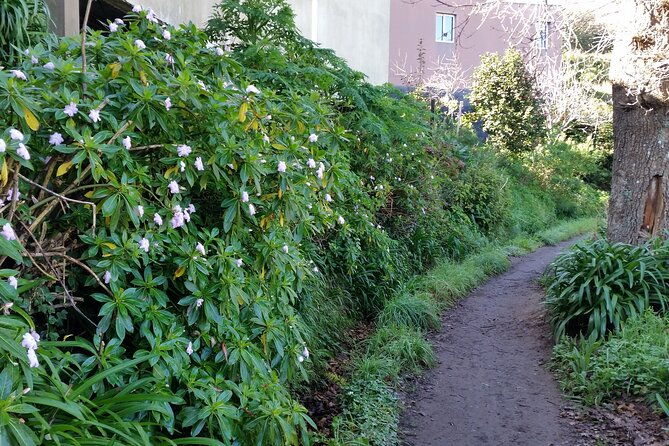 half-day-paradise-valley-walking-tour
