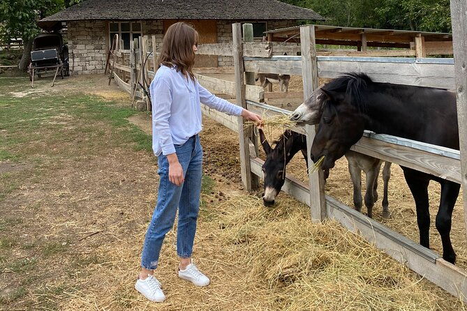 half-day-private-guided-tour-of-orheiul-vechi-and-a-farmhouse-2