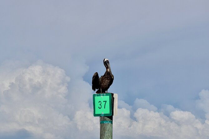 half-day-private-tiki-boat-beach-tour-from-fort-myers