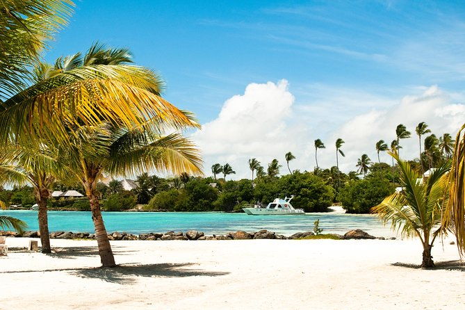 half-day-punta-cana-lagoon-tour-with-catamaran-cruise-snorkeling