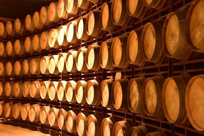 half-day-rioja-wine-tour-2