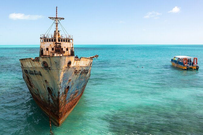 half-day-shipwrecks-tour-and-floating-bar-adults-only
