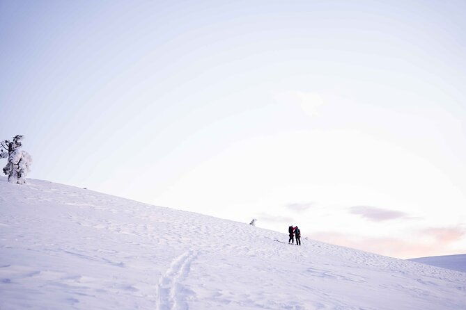 half-day-snowshoe-hiking-adventure-in-levi-lapland