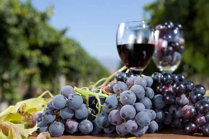 half-day-wine-tastings-in-the-north-georgia-mountains