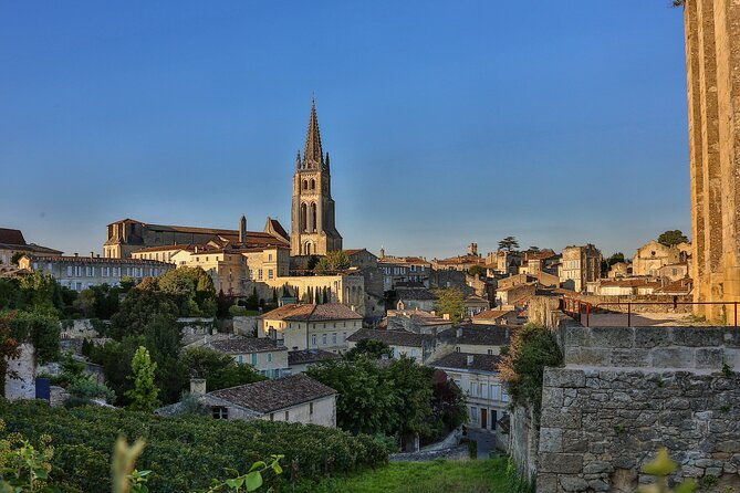 half-day-wine-tour-across-bordeauxs-vineyards