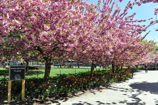 harlem-walking-tour-mount-morris-park-historic-district-w-lunch