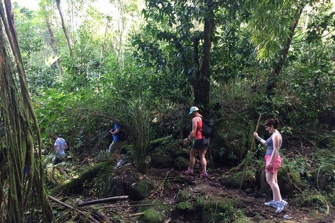 hawaiian-waterfall-hike