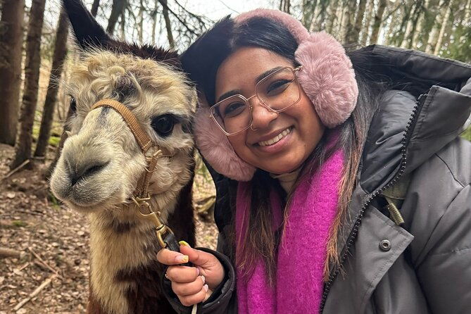 helsinki-alpaca-farm-tour-with-guided-walk