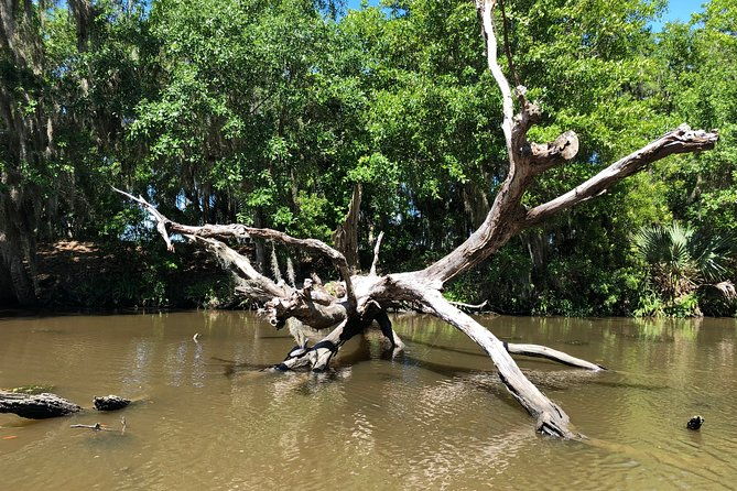 highlights-of-new-orleans-city-and-swamp-tour-combination